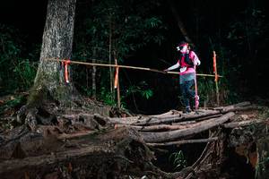 BIB: 
                            <button type="button" onclick="openModal(27419291)" class="btn btn-primary btn-sm float-right btn-popup" data-toggle="modal" data-target=".modal-high-quality">
                        <i class="fas fa-shopping-cart"></i> Add to Cart
                    </button>
                                            <button type="button" onclick="isThisMe(27419291, true)" class="btn btn-success btn-sm float-right btn-popup btn-isme hidden" data-toggle="tooltip" data-placement="bottom" title="นี่คือรูปของคุณใช่ไหม คลิกที่นี่เพื่อเอาเข้าอัลบั้ม">
                        <i class="fas fa-plus"></i> Add to album
                    </button>
                    <button type="button" onclick="isThisMe(27419291, false)" class="btn btn-warning btn-sm float-right btn-popup btn-isnotme hidden">
                        <i class="fas fa-ban"></i> Remove from album
                    </button>